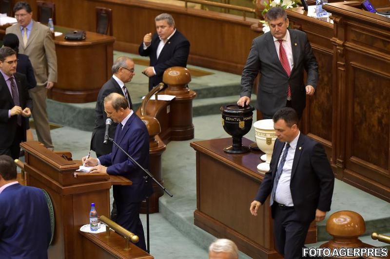 Gabriel Oprea la vot in Senat, Foto: Agerpres