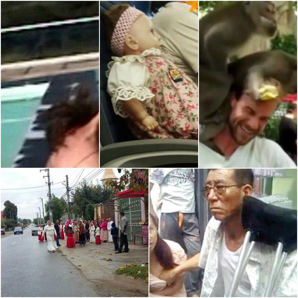 Faze tari, Foto: Colaj foto