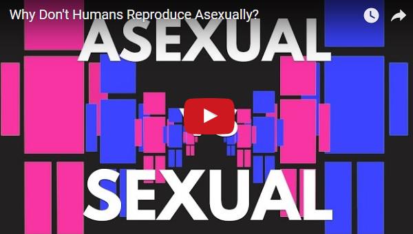 De ce nu se pot reproduce oamenii asexuat, Foto: Captura YouTube