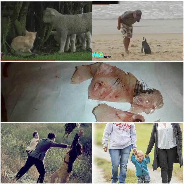 O lume nebuna, Foto: Colaj foto