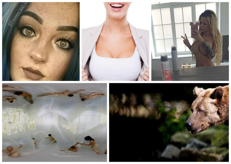 Faze tari, Foto: Colaj foto