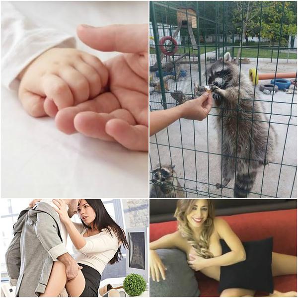 O lume nebuna, Foto: Colaj foto