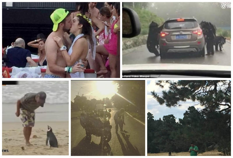 Faze tari, Foto: Colaj foto