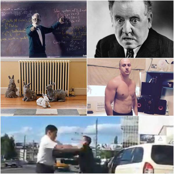 Faze tari, Foto: Colaj foto