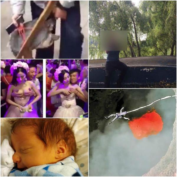 Faze tari, Foto: Colaj foto