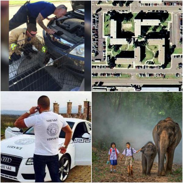 Faze tari, Foto: Colaj foto