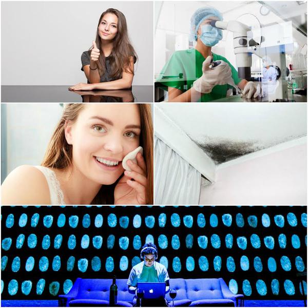 Utile, Foto: Colaj foto