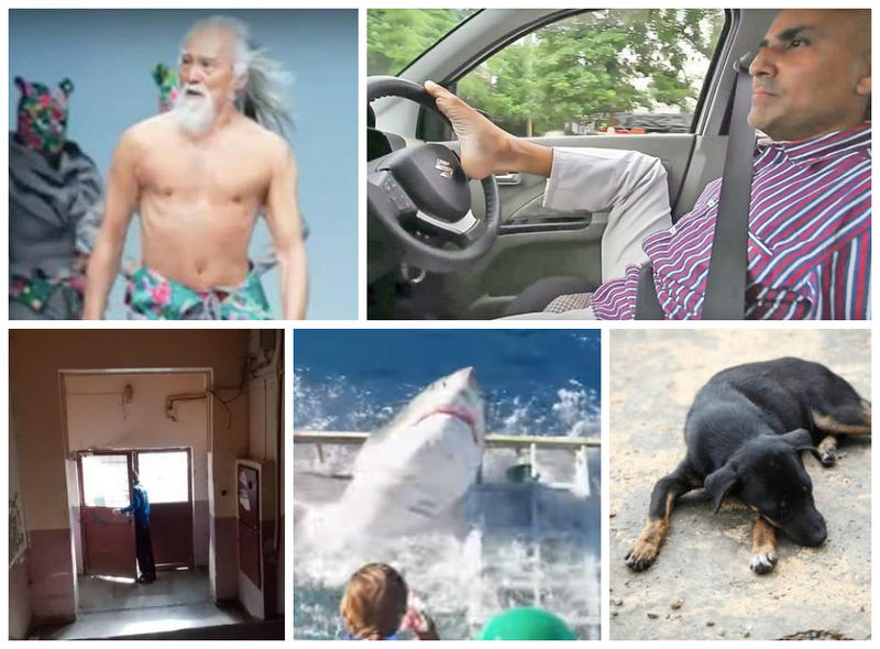 Faze Tari, Foto: Colaj foto