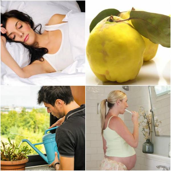 Utile, Foto: Colaj foto