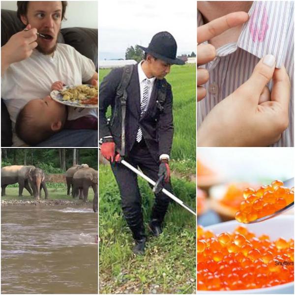 Faze tari, Foto: Colaj foto