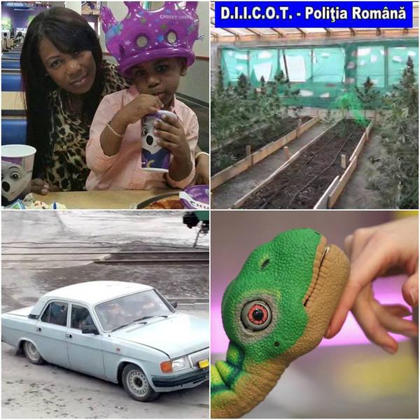 Faze tari, Foto: Colaj foto