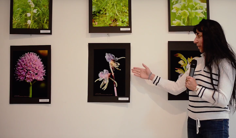 Nora de Angelii - Expozitia Orhideele salbatice ale Romaniei, Foto: Hotnews