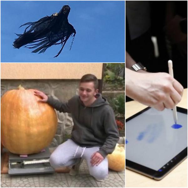 Faze tari, Foto: Colaj foto