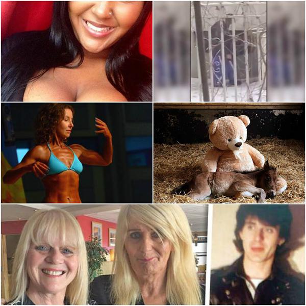 Faze tari, Foto: Colaj foto