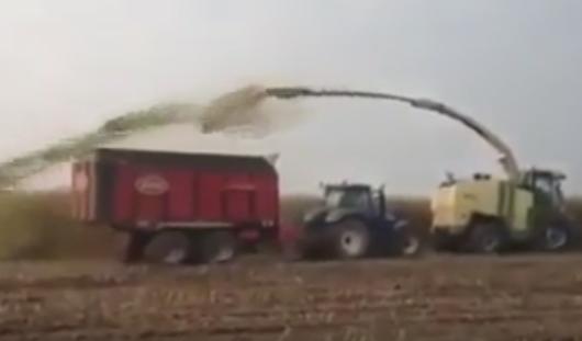 Precizie, Foto: YouTube