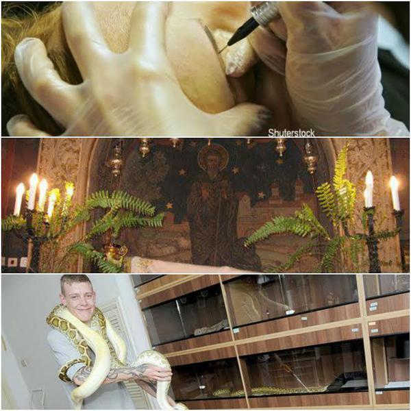 O lume nebuna, Foto: Colaj foto