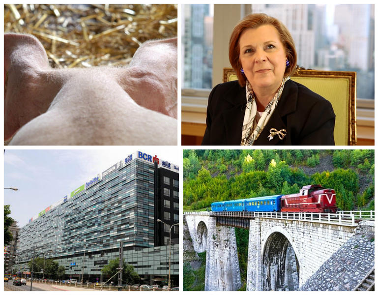 Business report, Foto: Colaj foto