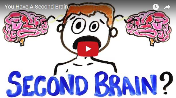 Cel de-al doilea creier al omului, Foto: Captura YouTube