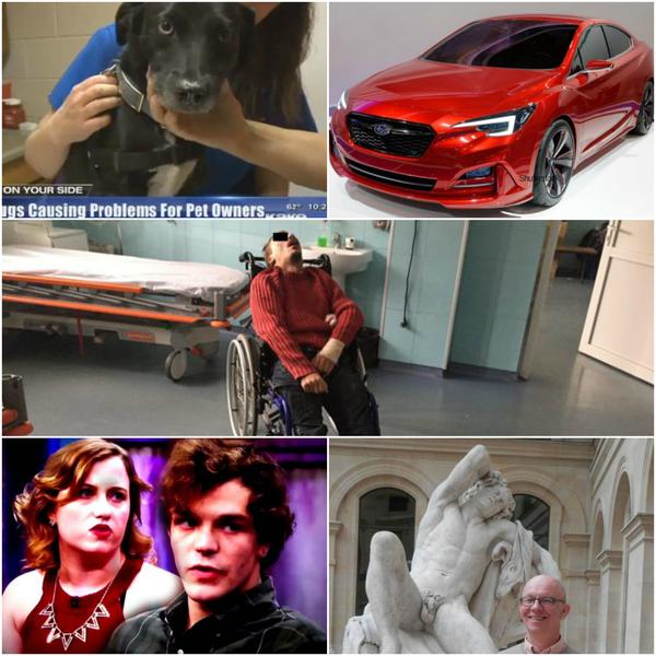 Faze tari, Foto: Colaj foto