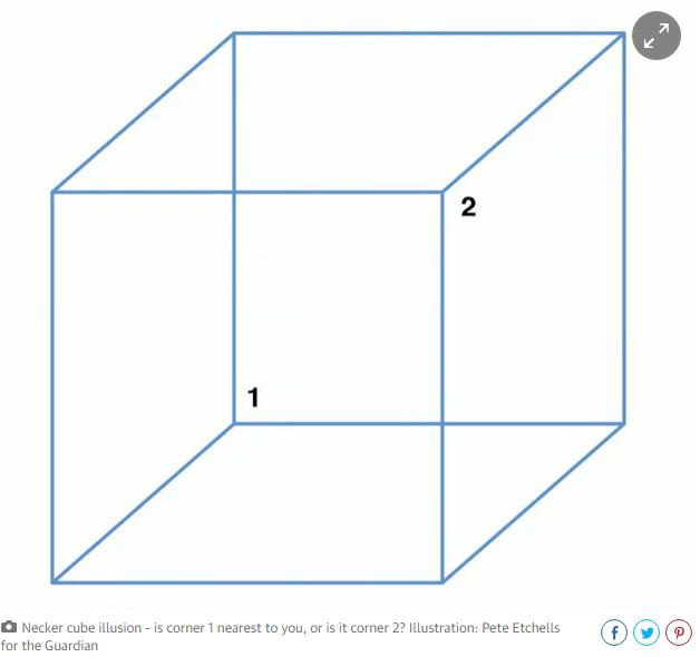 Cubul Necker, Foto: captura ecran