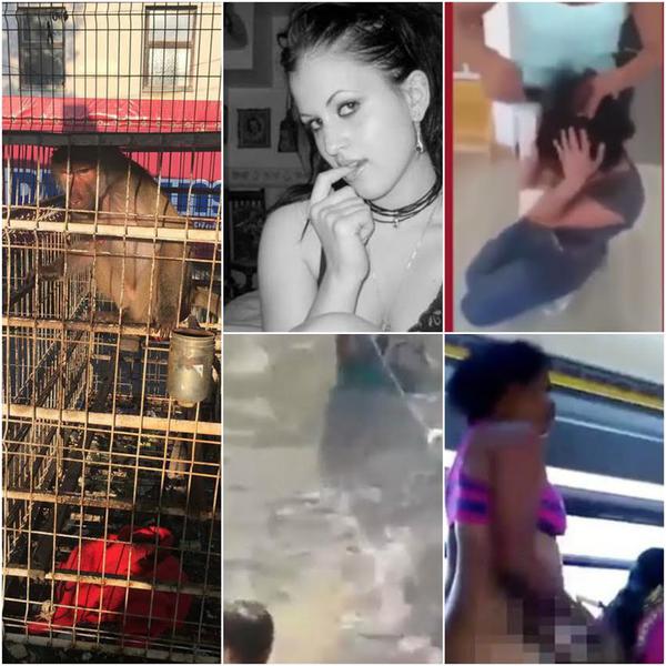 O lume nebuna, Foto: Colaj foto