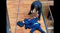 Europarlamentar UKIP, internat in spital dupa ce s-a batut cu un coleg, Foto: Captura YouTube