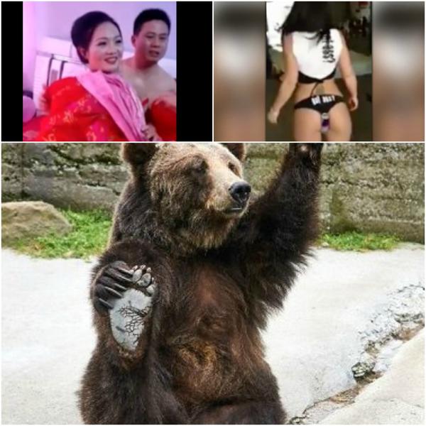 Faze tari, Foto: Colaj foto