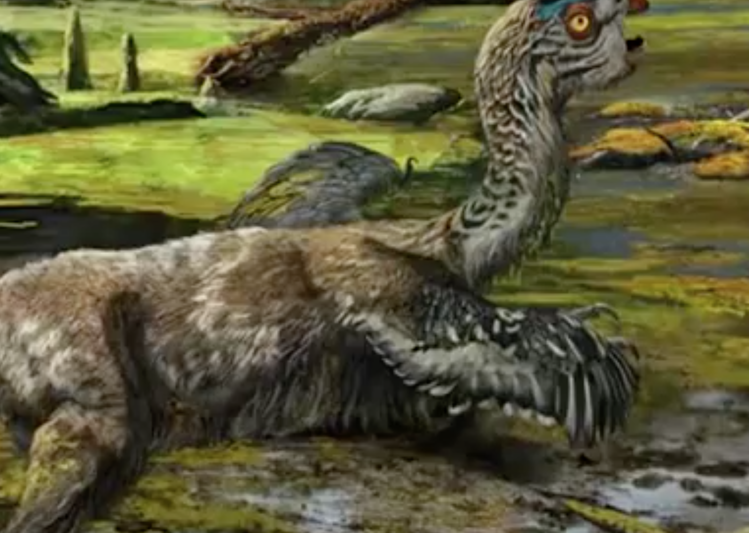 Tongtianlong limosus, un dinozaur necunoscut pana acum, Foto: Captura YouTube