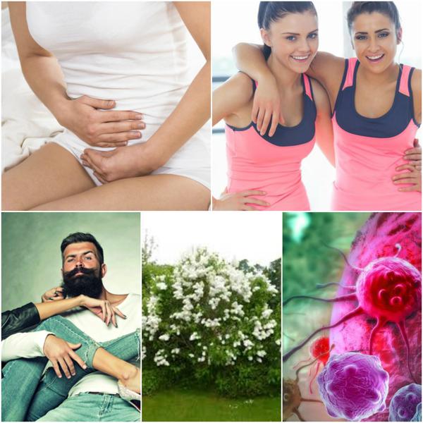 Utile, Foto: Colaj foto