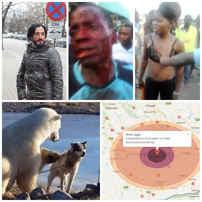 O lume nebuna, Foto: Colaj foto