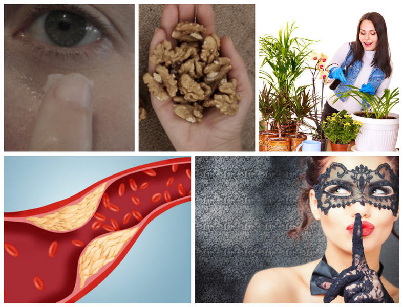 Utile, Foto: Colaj foto