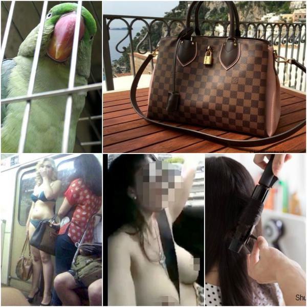 Faze tari, Foto: Colaj foto