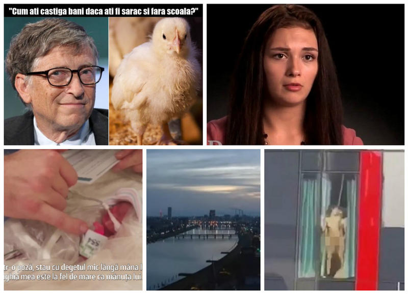 Faze tari, Foto: Colaj foto