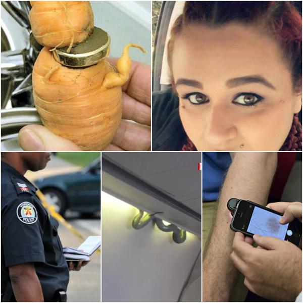 Faze tari, Foto: Colaj foto