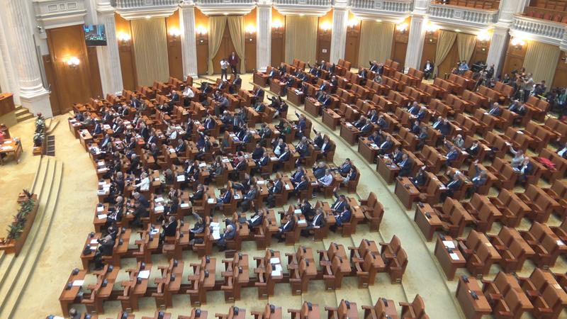 Sala plen vot salarii, Foto: PNL