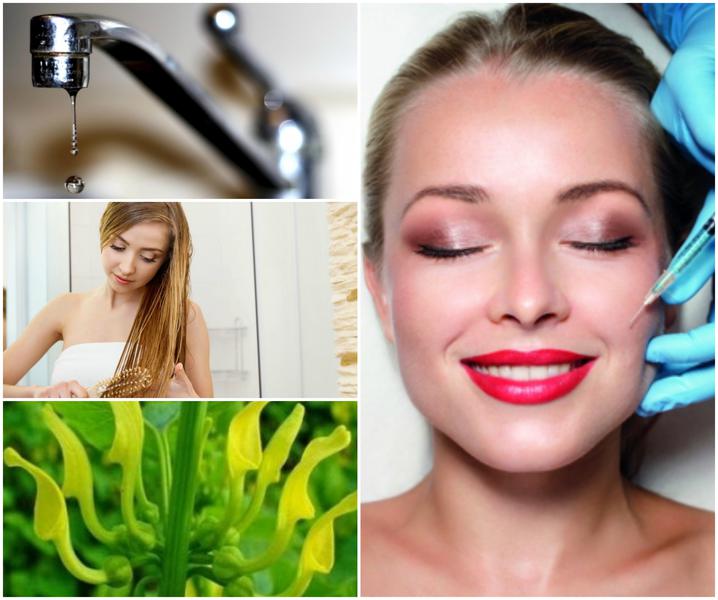 Utile, Foto: Colaj foto