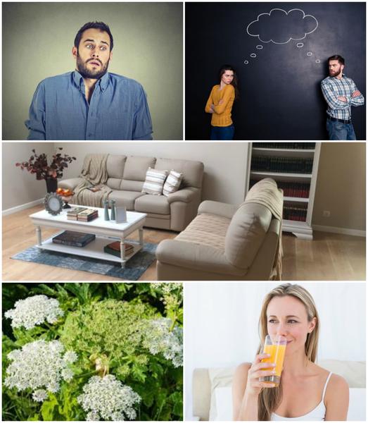 Utile, Foto: Colaj foto