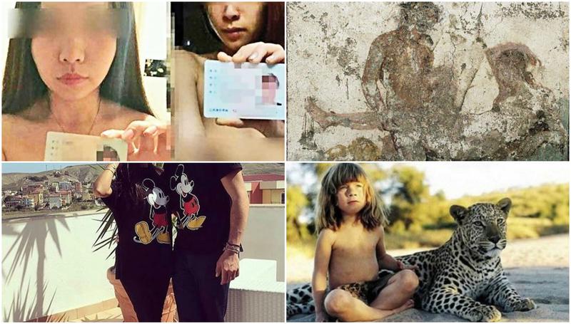 Faze tari, Foto: Colaj foto