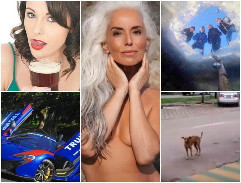 Faze tari, Foto: Colaj foto