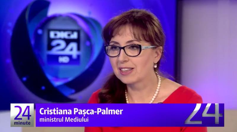 Cristiana Pasca - Palmer, la Digi24, Foto: Captura Digi 24