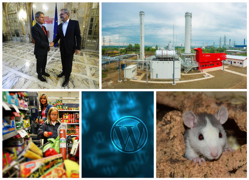 Business report, Foto: Colaj foto