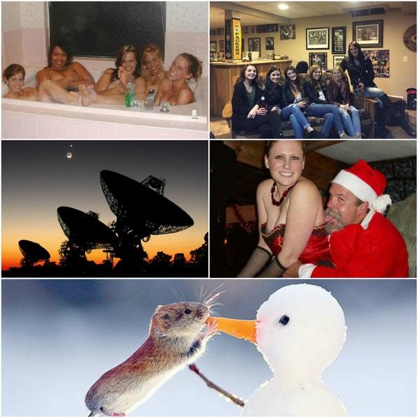 Faze tari, Foto: Colaj foto