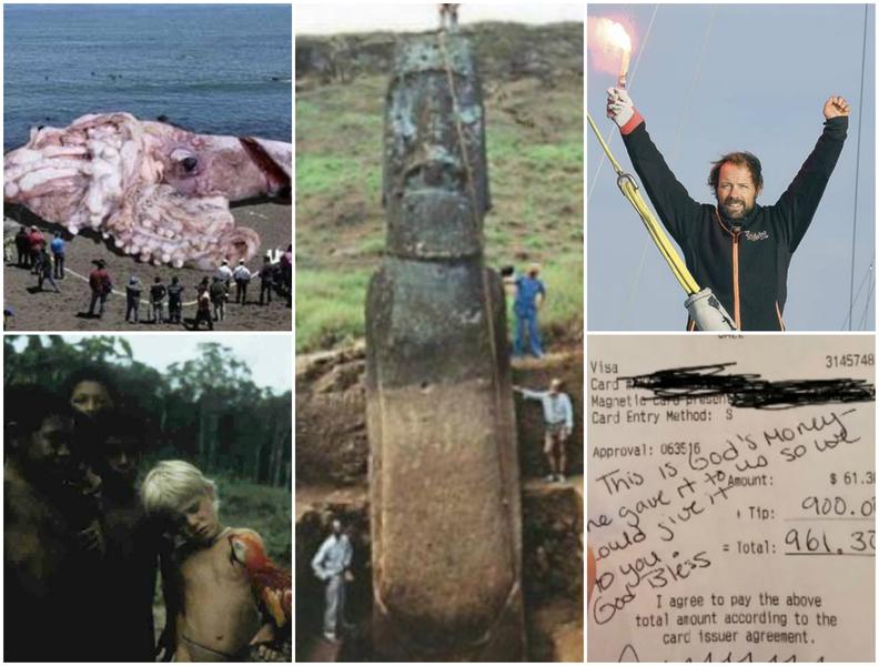 Faze tari, Foto: Colaj foto