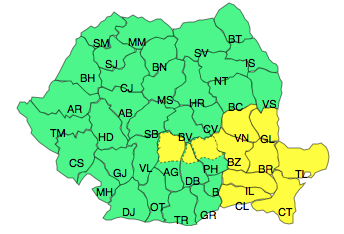 Cod galben, Foto: ANM