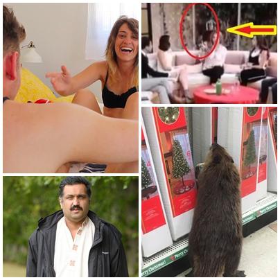 Faze tari, Foto: Colaj foto