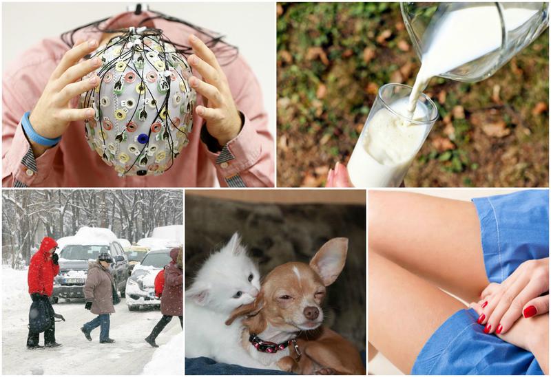 Utile, Foto: Colaj foto