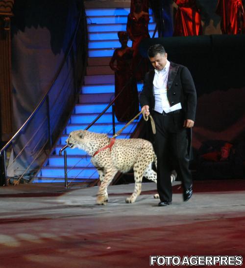 Animale la circ, Foto: AGERPRES
