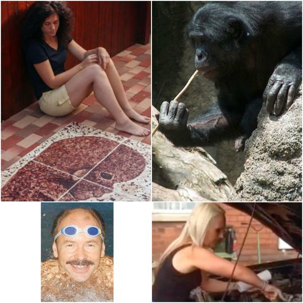 Faze tari, Foto: Colaj foto