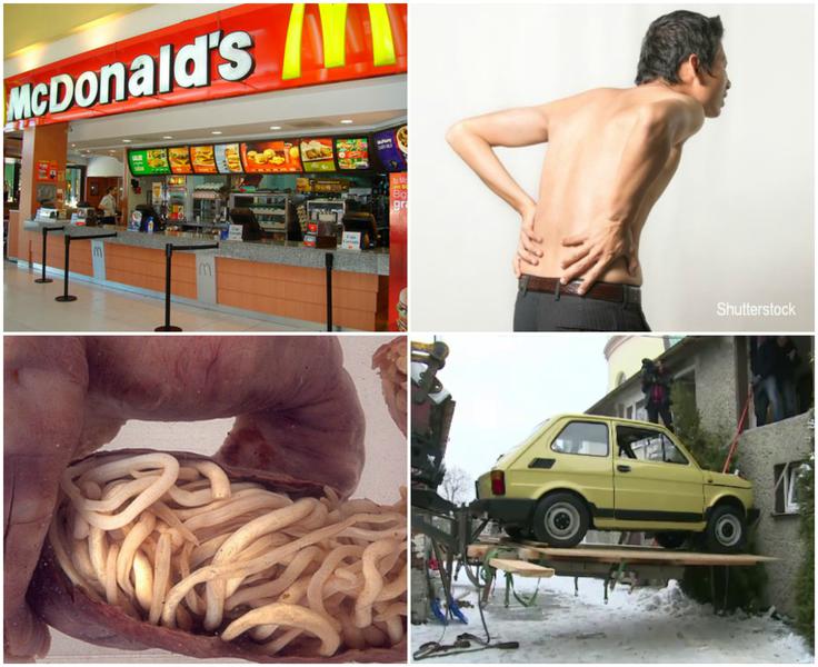 Faze tari, Foto: Colaj foto