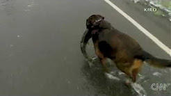 La pescuit, Foto: youtube.com